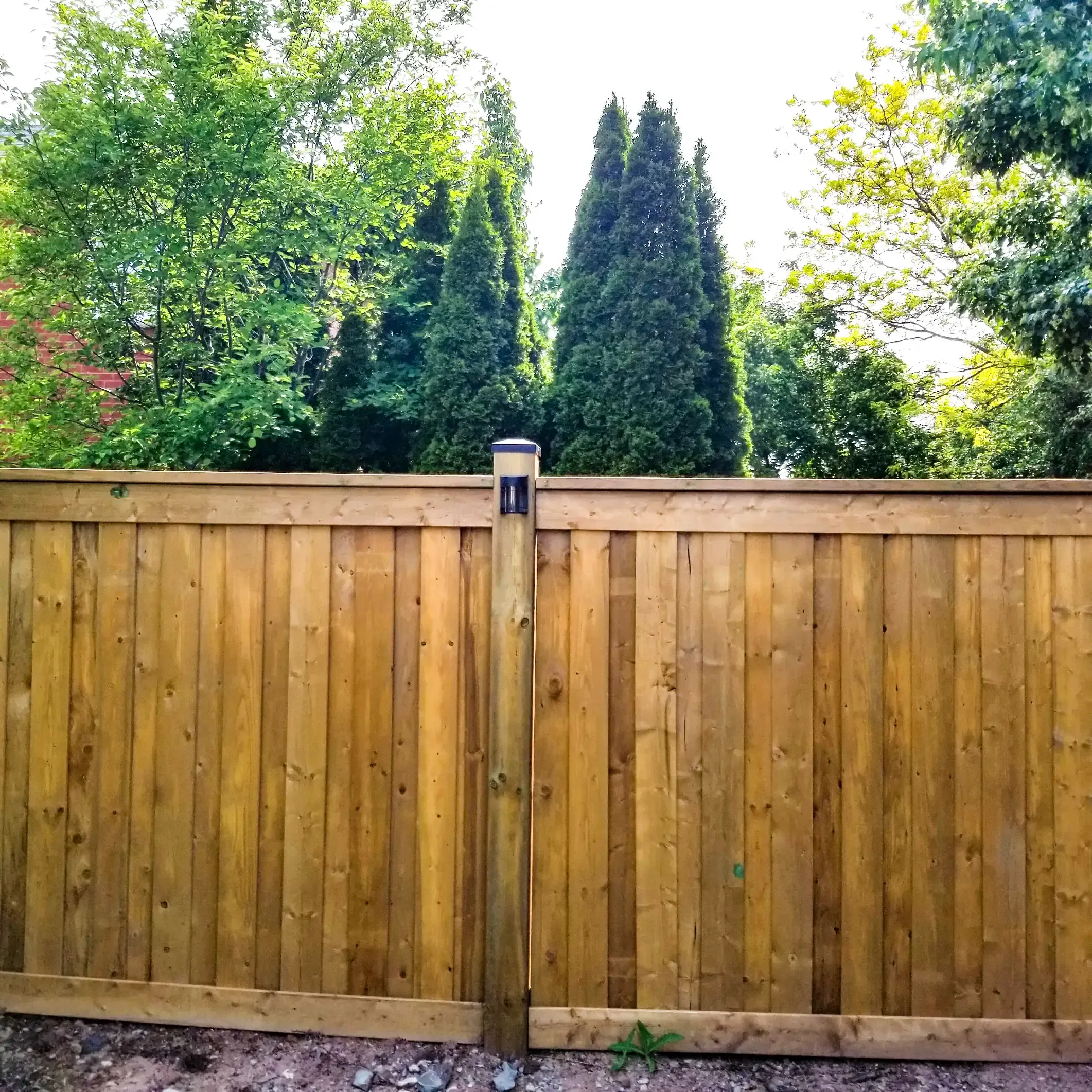 Rosanne Vieta testimonial image 2