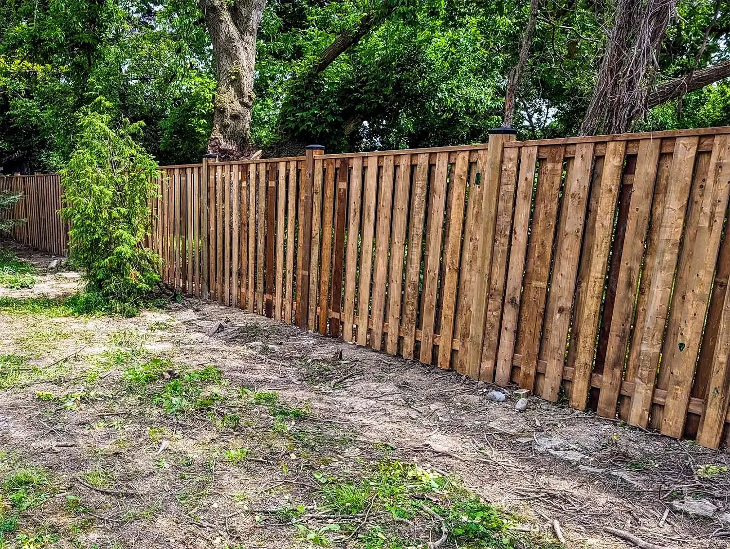 Roy testimonial image 1